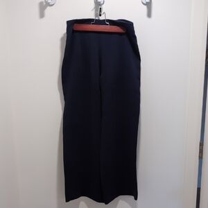 Babaton Deep Blue Garment